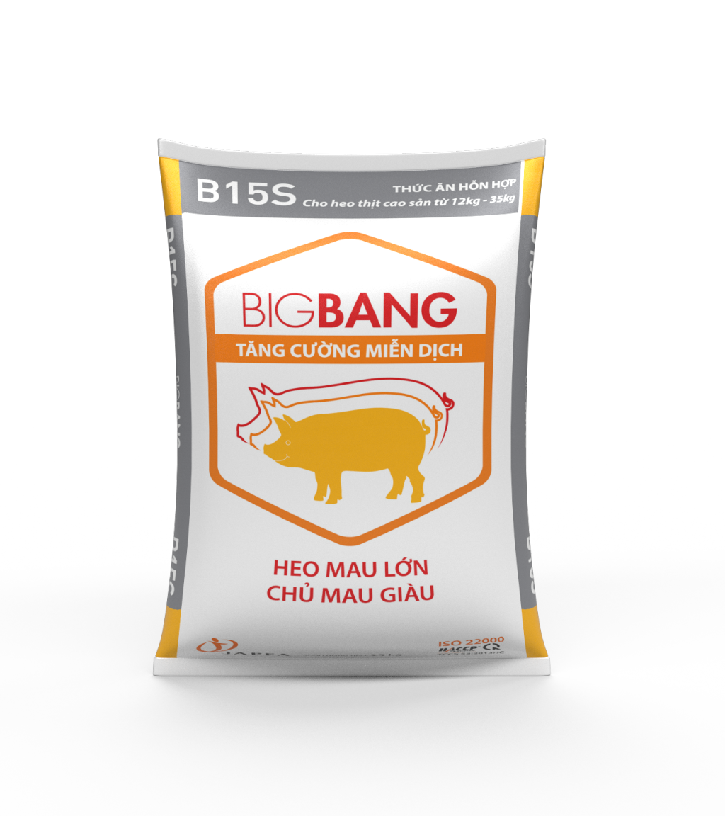 BIGBANG B15S
